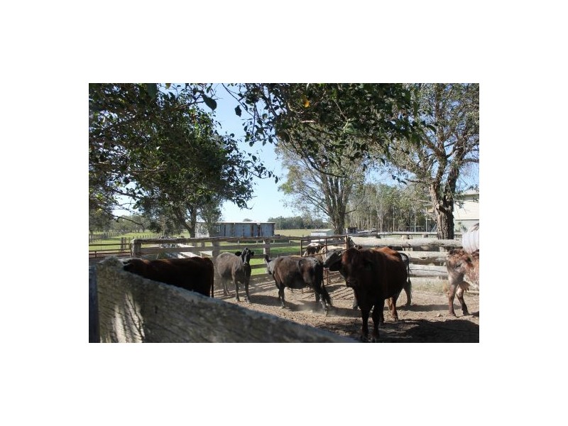 Verges Creek NSW 2440