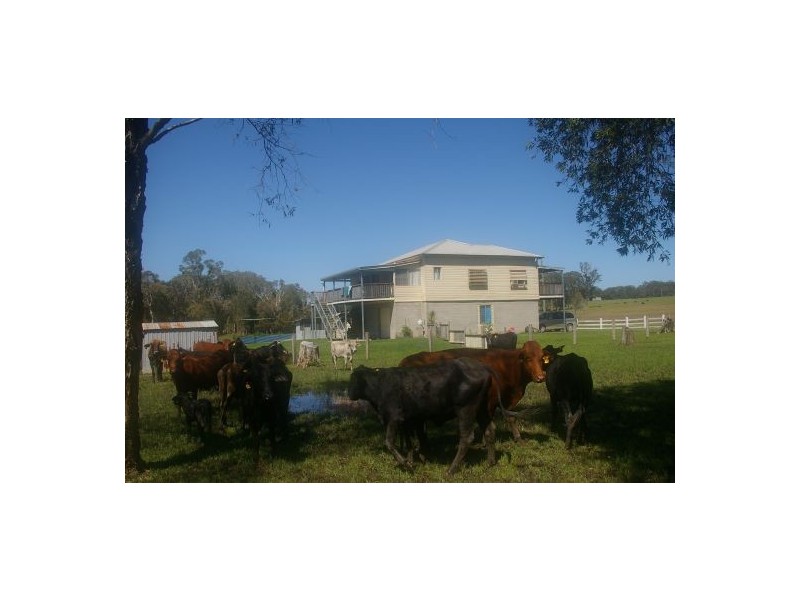 Verges Creek NSW 2440