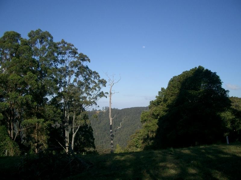 Comboyne NSW 2429