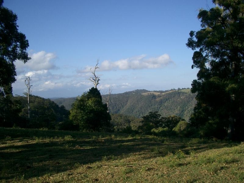 Comboyne NSW 2429