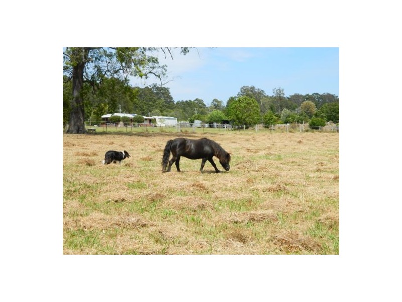 Mortons Creek NSW 2446