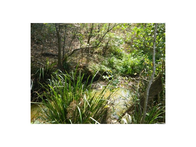 Mortons Creek NSW 2446