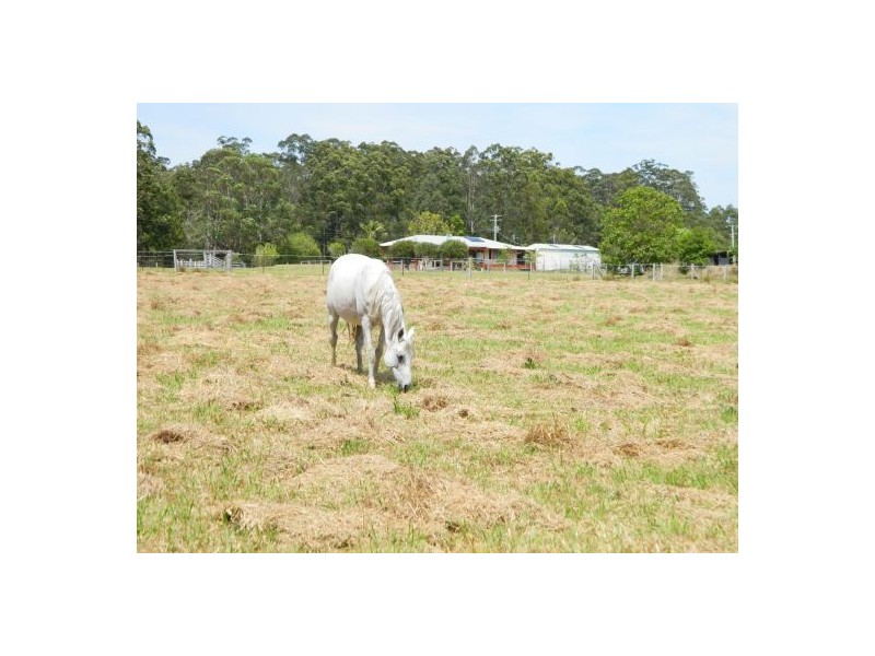 Mortons Creek NSW 2446