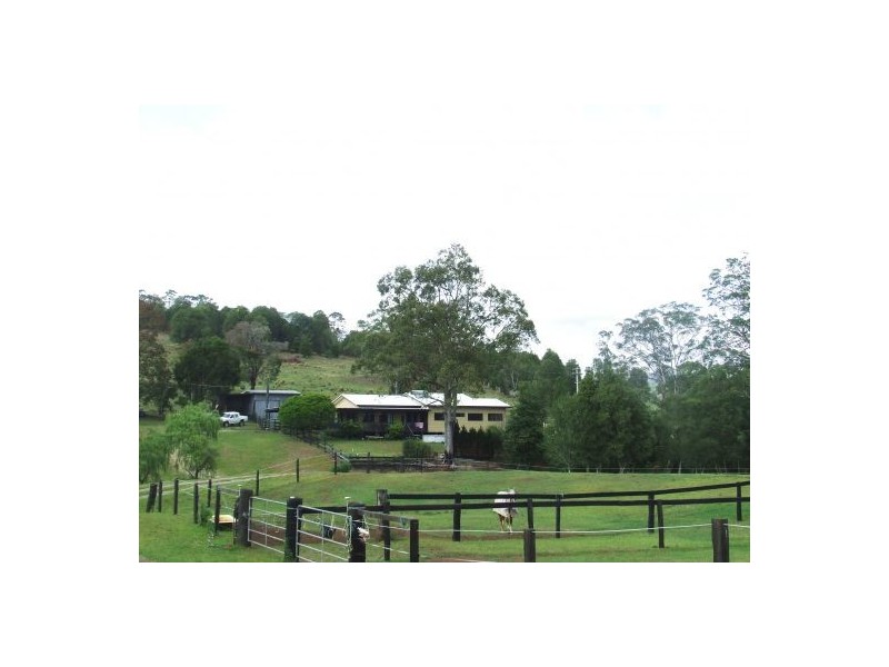 Gum Scrub NSW 2441