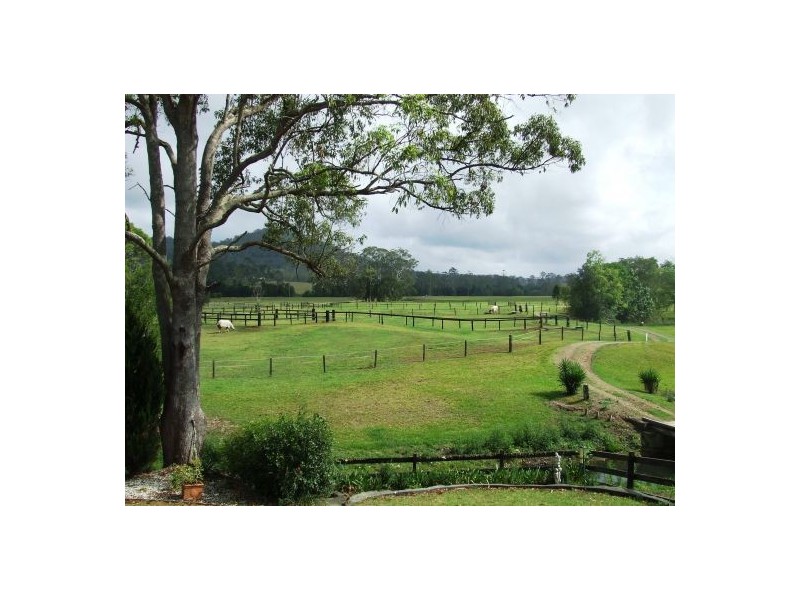 Gum Scrub NSW 2441