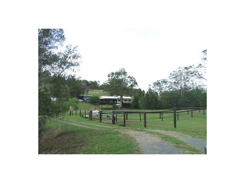 Gum Scrub NSW 2441