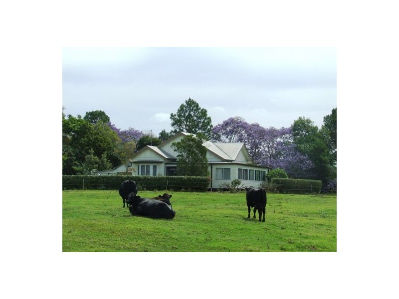 Rawdon Island NSW 2446