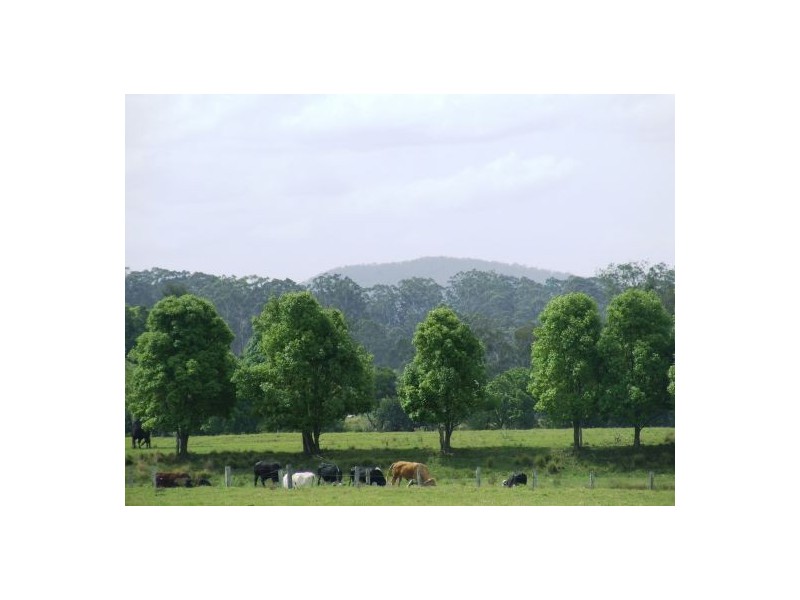 Rawdon Island NSW 2446