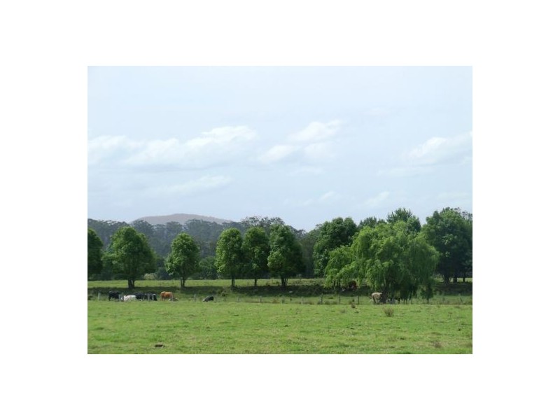 Rawdon Island NSW 2446