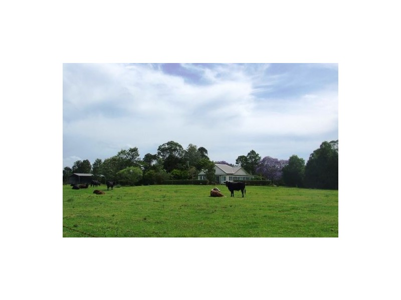 Rawdon Island NSW 2446