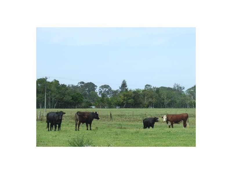 Rawdon Island NSW 2446