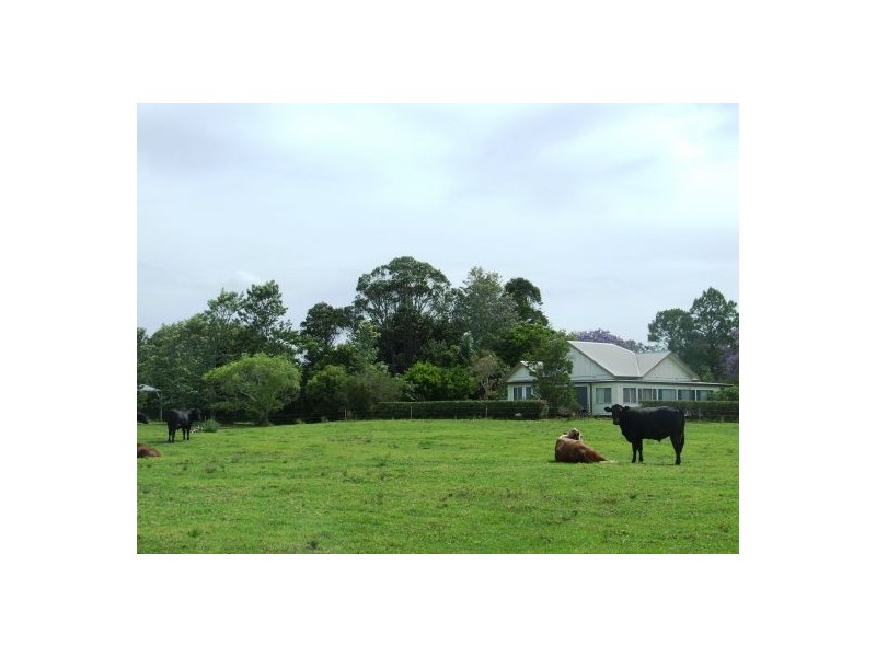 Rawdon Island NSW 2446