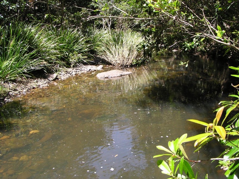 Pappinbarra NSW 2446