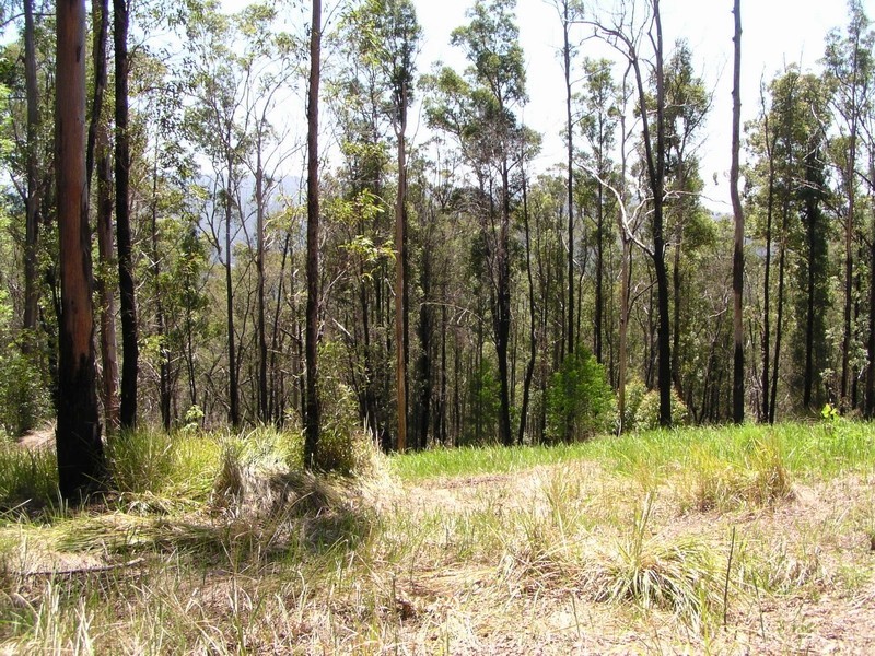 Pappinbarra NSW 2446