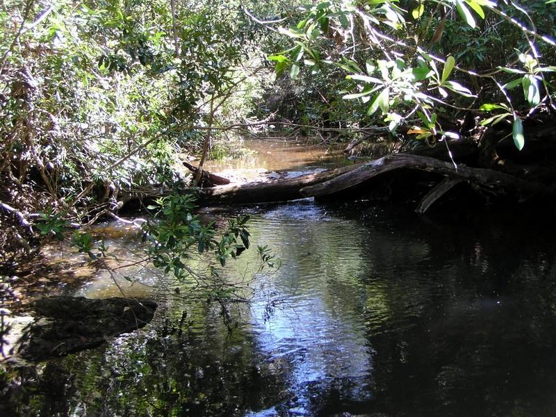 Pappinbarra NSW 2446