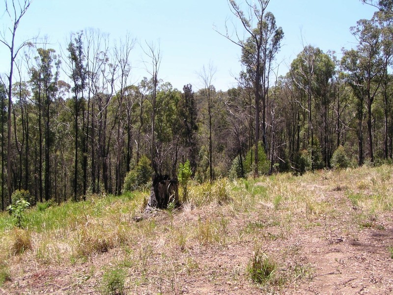 Pappinbarra NSW 2446