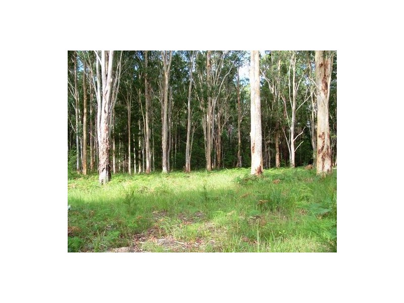 Kundabung NSW 2441