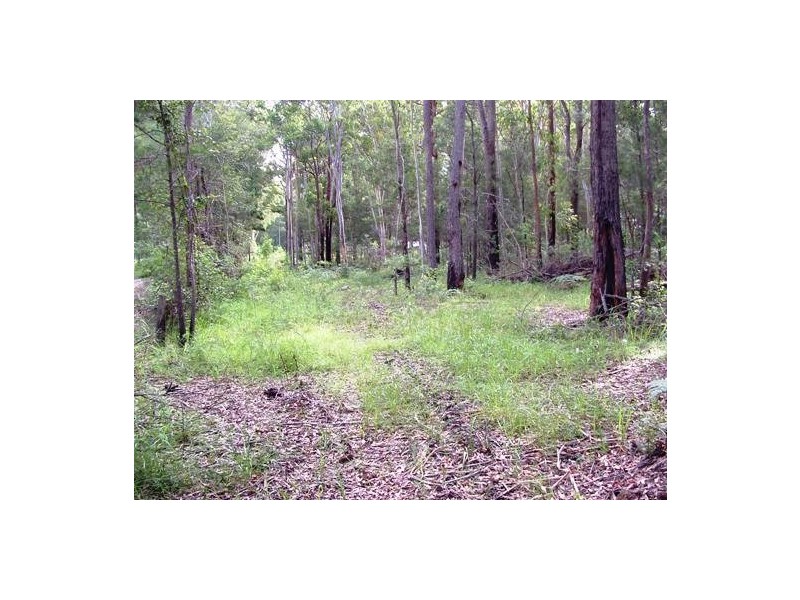 Kundabung NSW 2441
