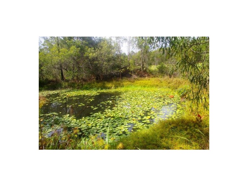 Telegraph Point NSW 2441