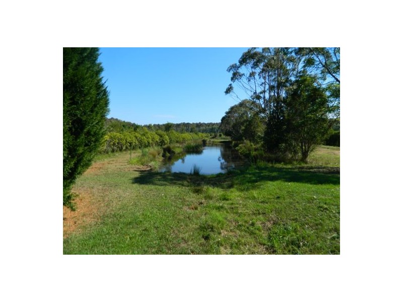 Rawdon Island NSW 2446