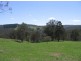 Yarrowitch NSW 2354