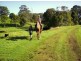Taylors Arm NSW 2447