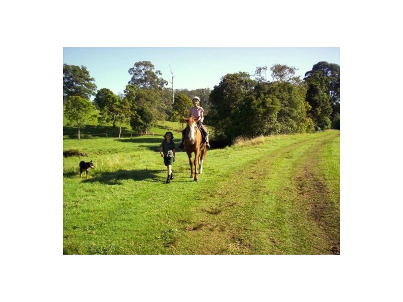 Taylors Arm NSW 2447