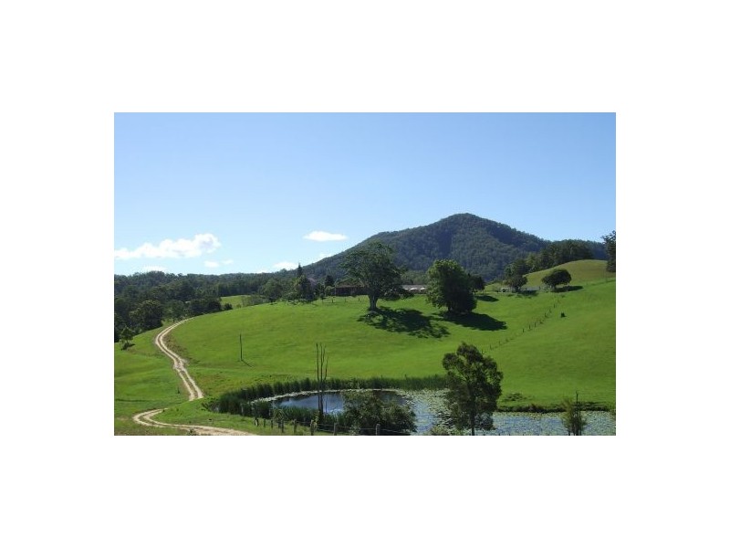 Taylors Arm NSW 2447