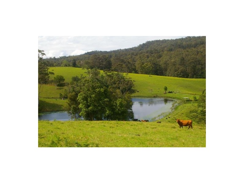 Taylors Arm NSW 2447