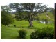 Taylors Arm NSW 2447