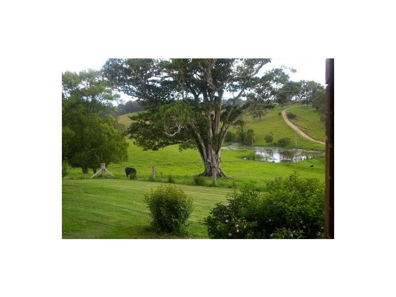 Taylors Arm NSW 2447