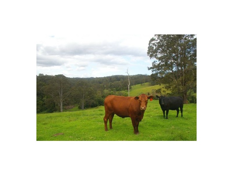 Taylors Arm NSW 2447