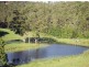 Taylors Arm NSW 2447
