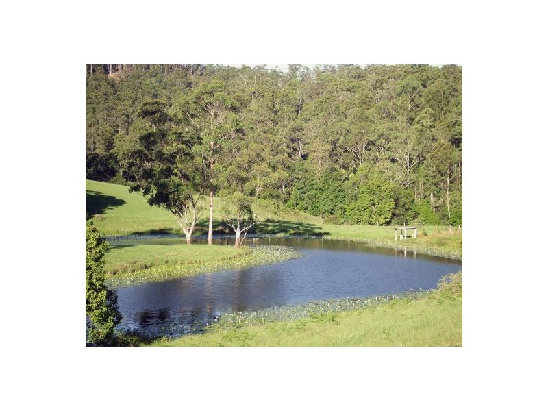Taylors Arm NSW 2447