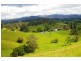 Taylors Arm NSW 2447