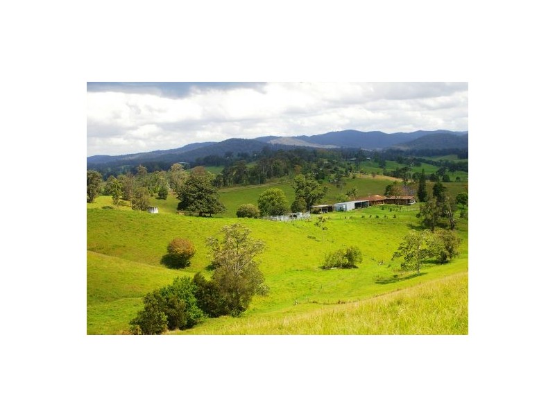 Taylors Arm NSW 2447