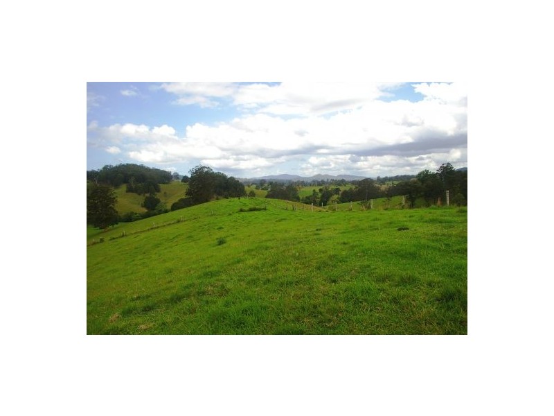 Taylors Arm NSW 2447