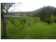 Taylors Arm NSW 2447
