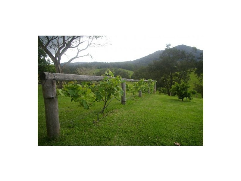 Taylors Arm NSW 2447
