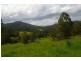 Taylors Arm NSW 2447
