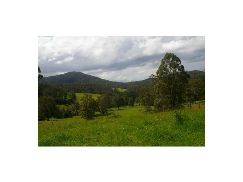 Taylors Arm NSW 2447