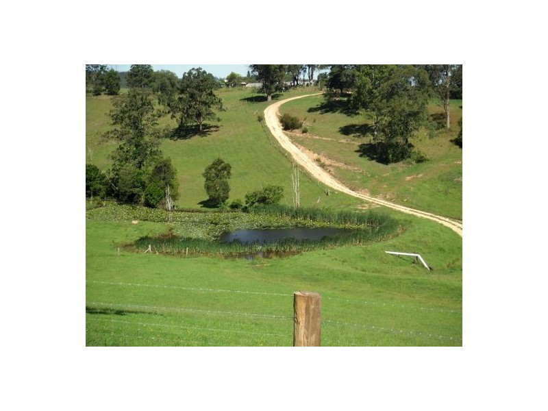 Taylors Arm NSW 2447