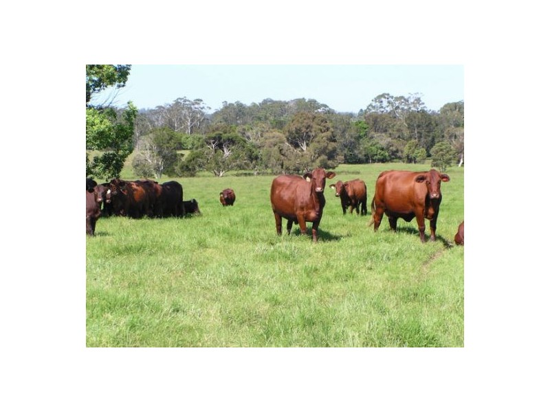 Wauchope NSW 2446