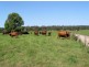 Wauchope NSW 2446