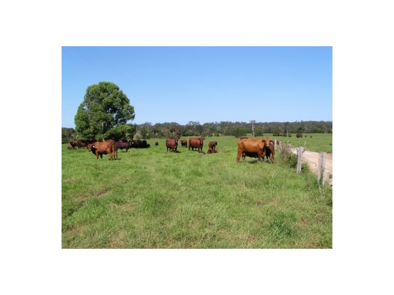 Wauchope NSW 2446