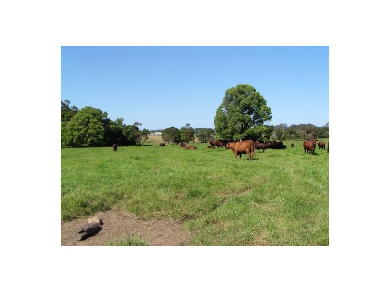 Wauchope NSW 2446