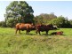 Wauchope NSW 2446