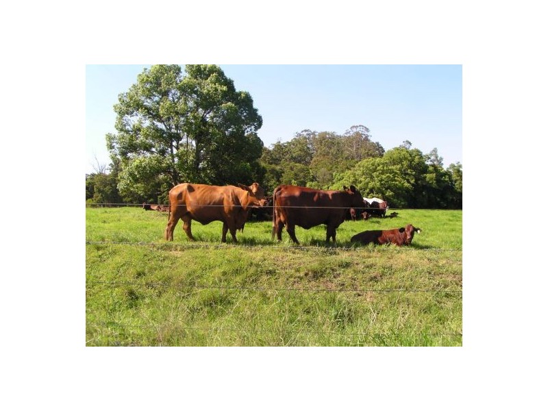 Wauchope NSW 2446
