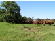 Wauchope NSW 2446