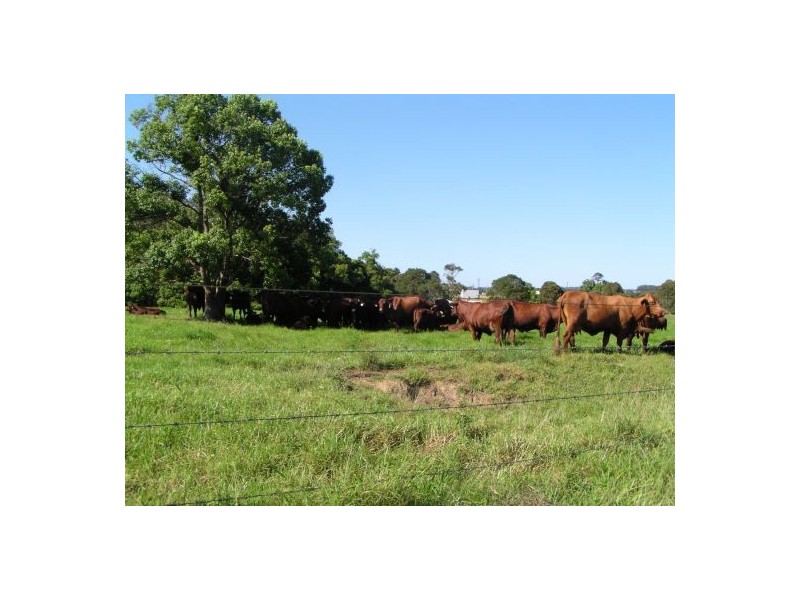 Wauchope NSW 2446